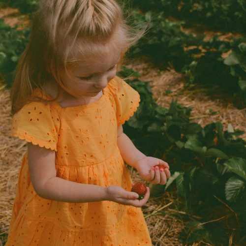 Fly kids academy school alphen aan den rijn liefde solidariteit respect leren zelfvertrouwen veiligheid rechtvaardigheid vrijheid verdraagzaamheid sociaal integriteit moed doorzetten vriendelijk dankbaar vrede gelijkwaardig b3 basisscholen Zuid Holland